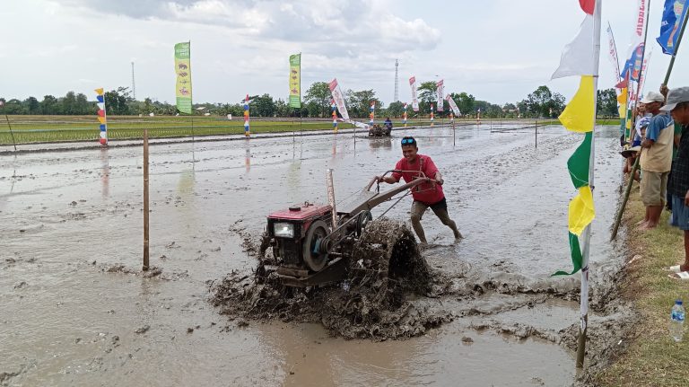 IMG-20250828-WA0089(1)