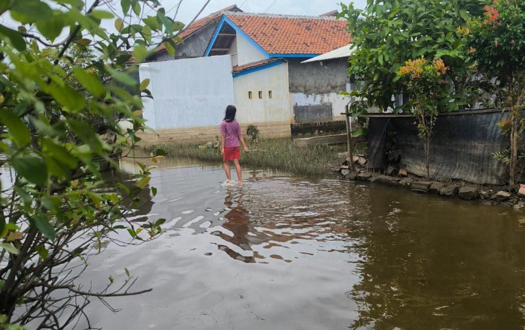 IMG-20260223-WA0054(1)