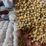 Screenshot_2026_0414_204321